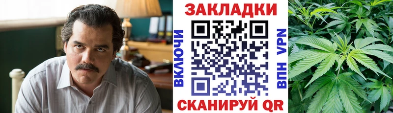 Купить закладку А ПВП  Мефедрон  КОКАИН  Гашиш  МАРИХУАНА  Карабаново