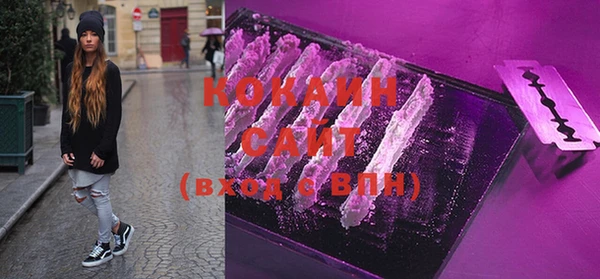 2c-b Горняк