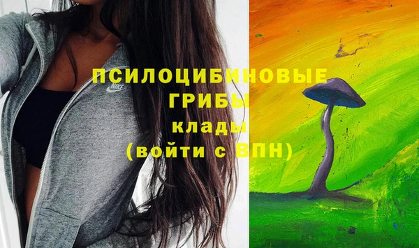 твердый Чекалин