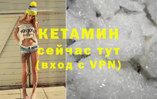 твердый Чекалин