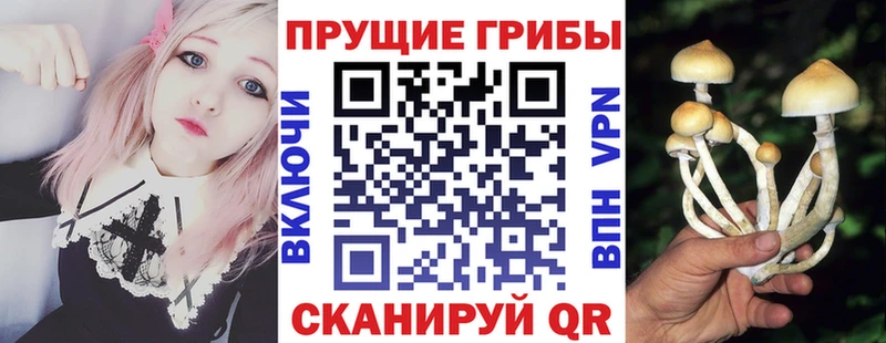 Купить закладки  Карабаново  Псилоцибиновые грибы Psilocybe 